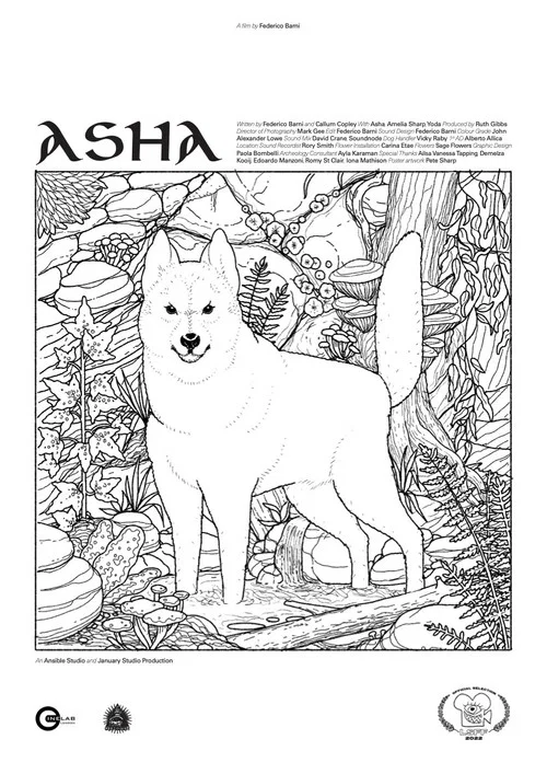 Asha постер