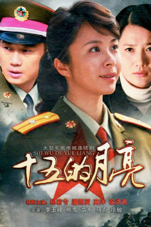 十五的月亮 постер
