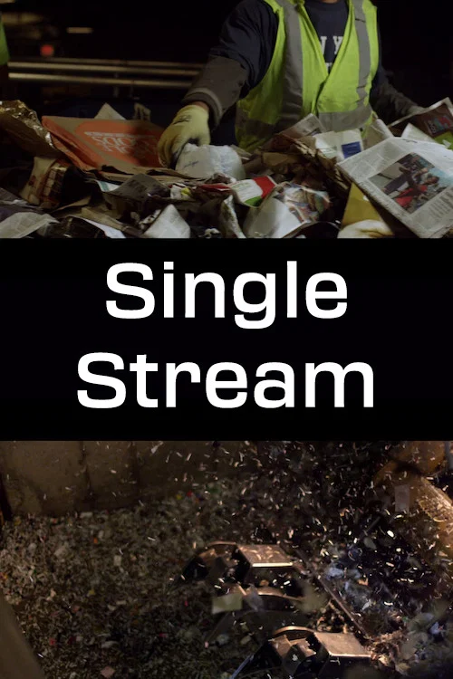 Single Stream постер
