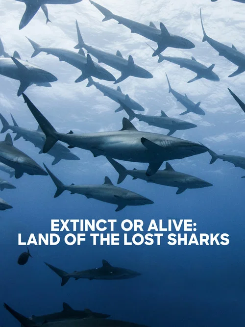 Extinct or Alive: Land of the Lost Sharks постер