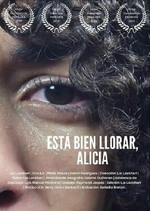 Está bien llorar, Alicia постер
