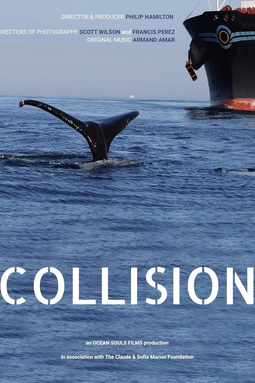Collision постер
