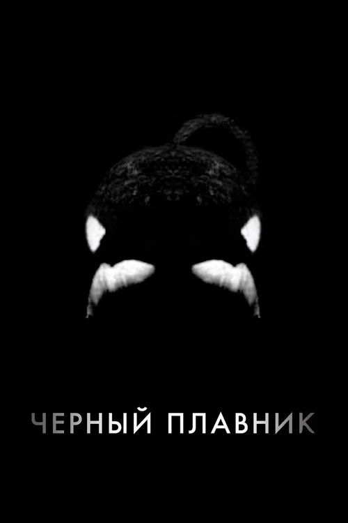 Чёрный плавник постер
