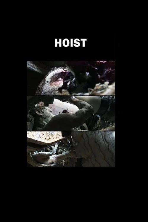 Hoist постер