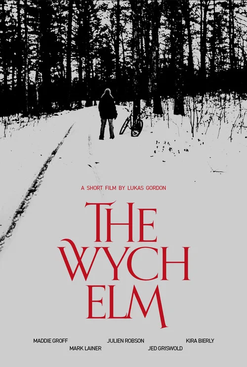 The Wych Elm постер
