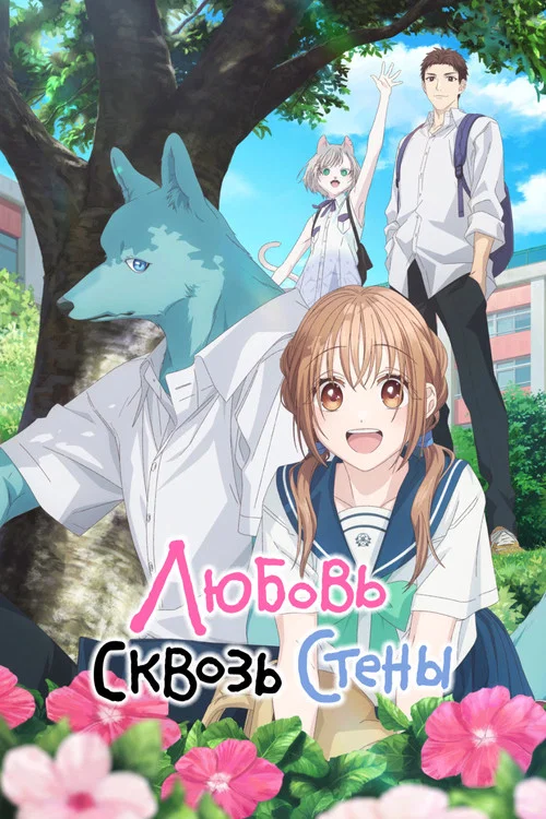 Любовь сквозь стены постер