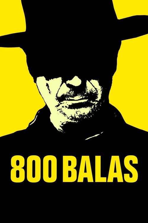 800 пуль постер