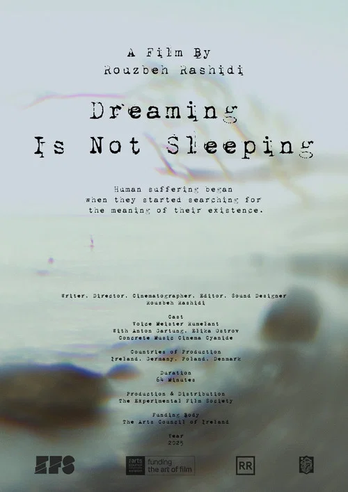 Dreaming Is Not Sleeping постер