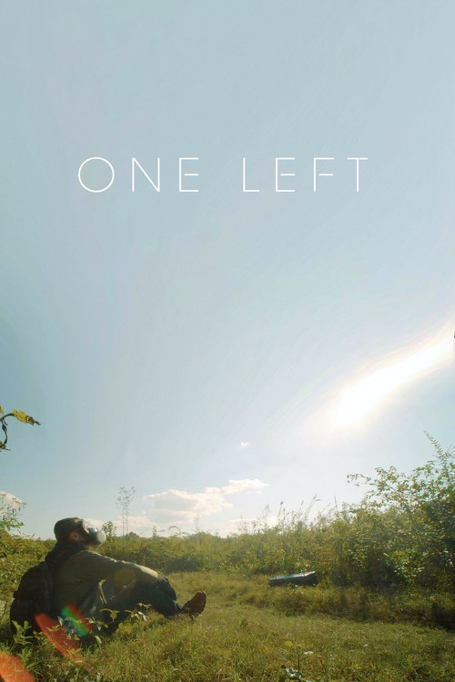 One Left постер