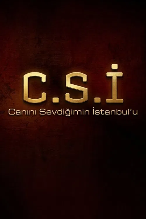 Canını Sevdiğimin İstanbul'u постер