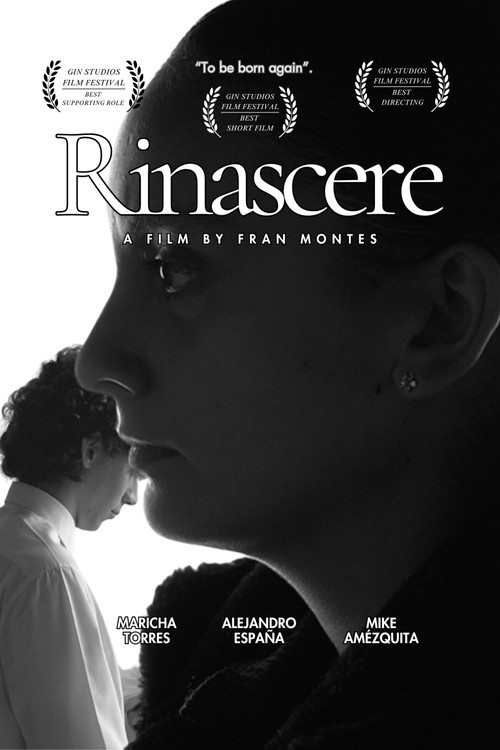Rinascere постер