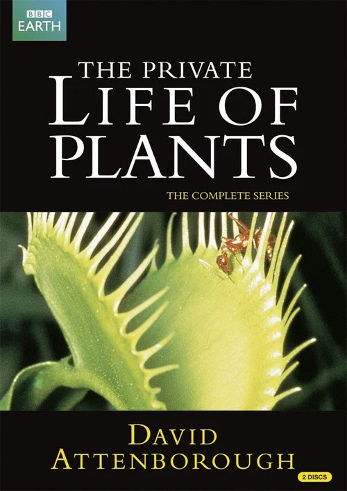 The Private Life of Plants постер