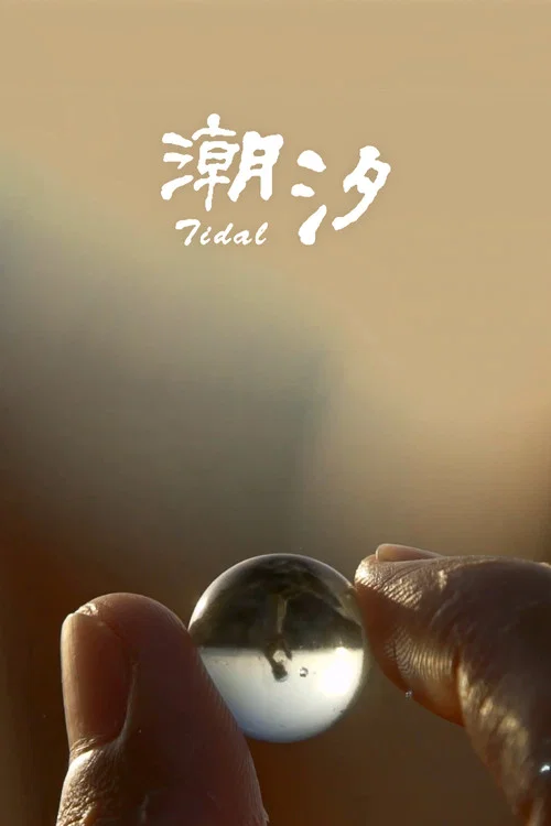 潮汐 постер