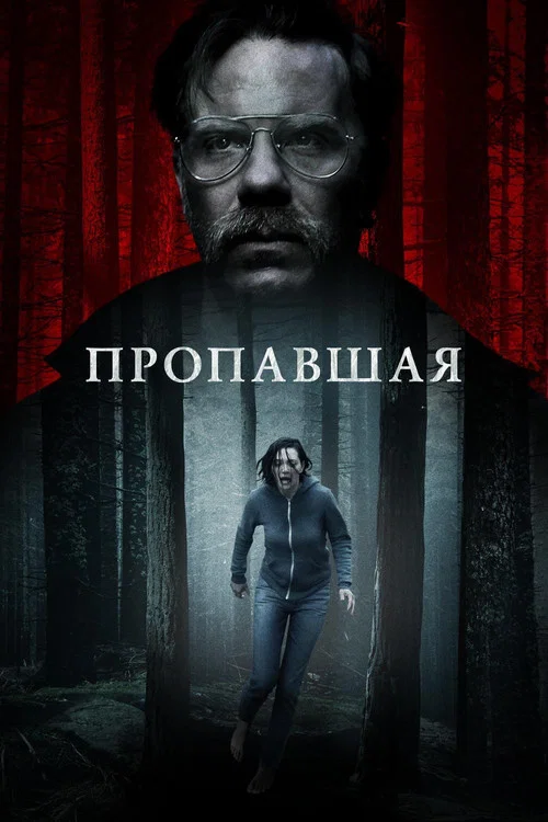 Пропавшая постер