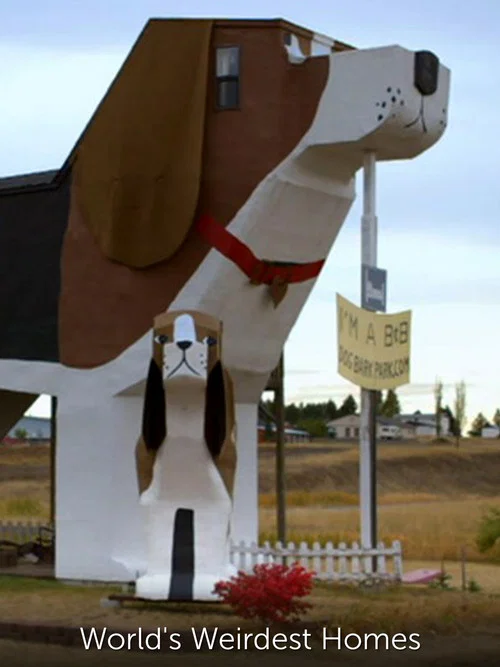 World's Weirdest Homes постер