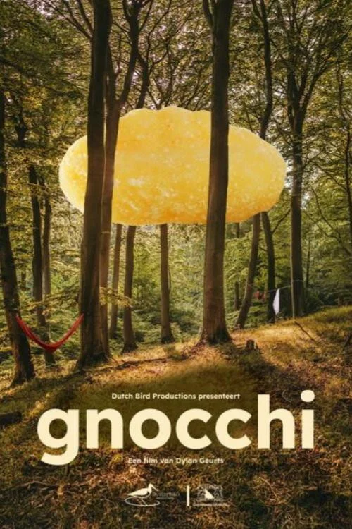 Gnocchi постер