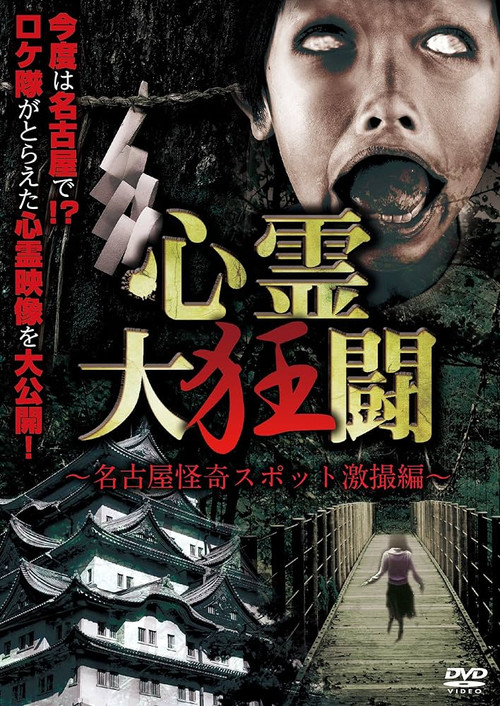 心霊大狂闘 ～名古屋怪奇スポット激撮編～ постер