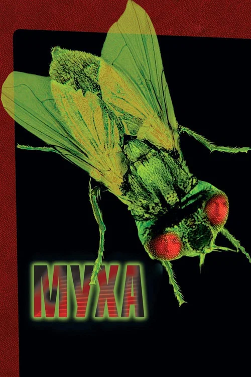 Муха постер