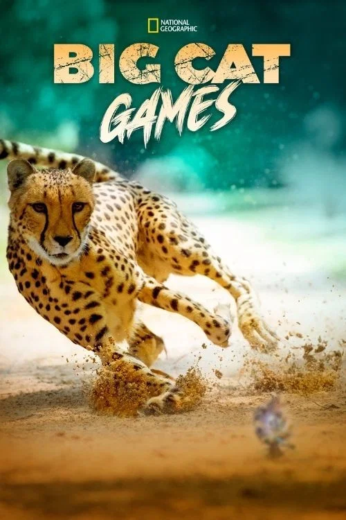 Big Cat Games постер