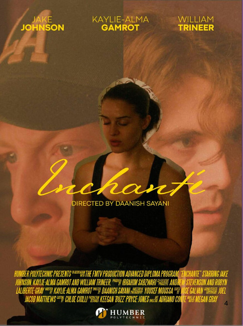 Enchanté постер