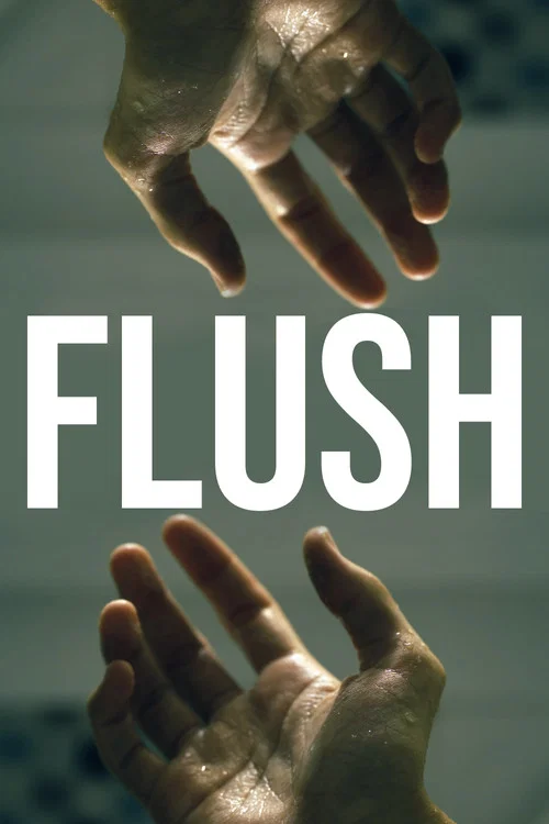 FLUSH постер