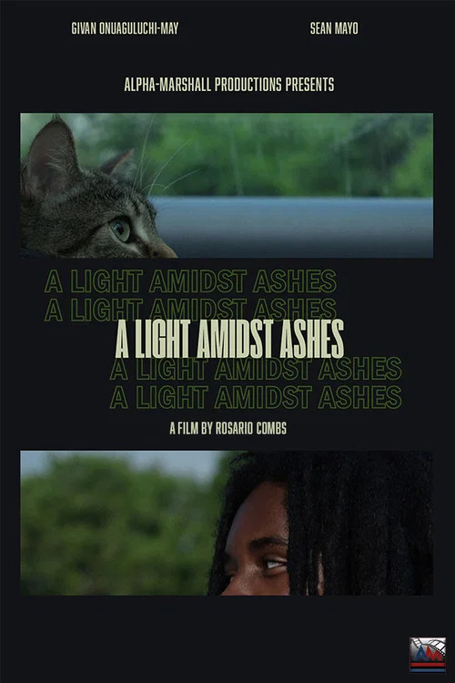 A Light Amidst Ashes постер