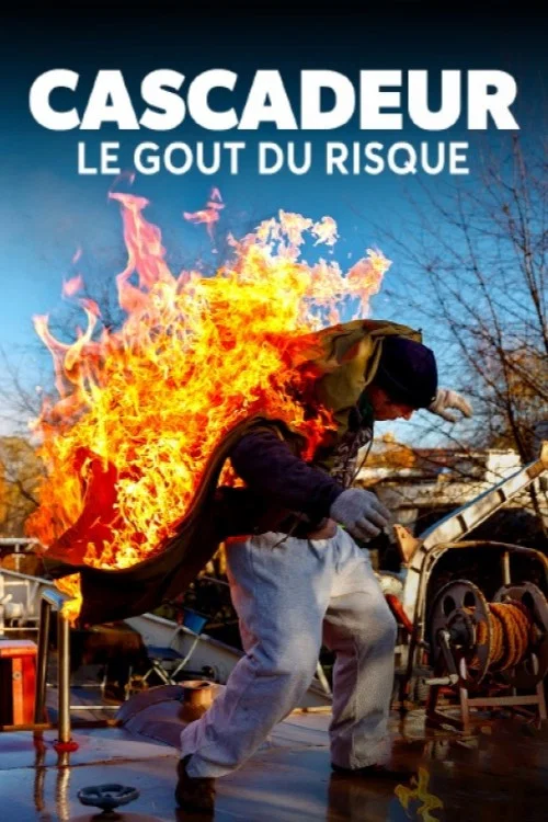 Stunts – Das Leben aufs Spiel setzen? постер