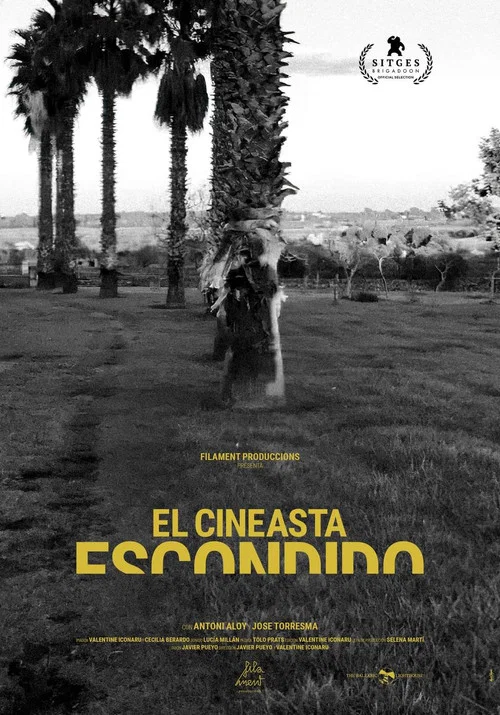 El cineasta escondido постер