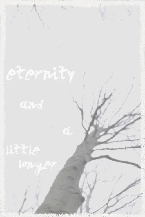 eternity and a little longer постер