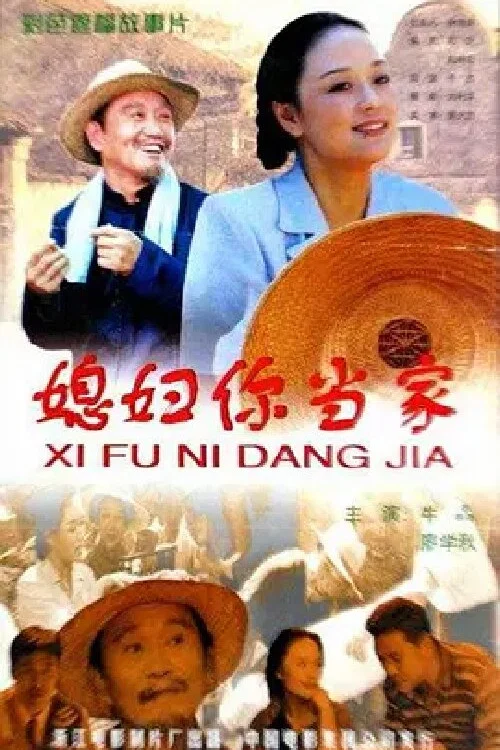 媳妇你当家 постер