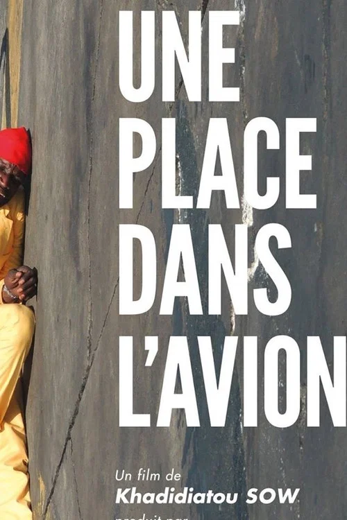 Une Place dans L'avion постер