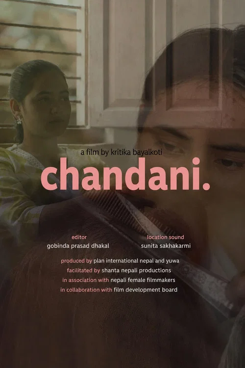 चाँदनी постер