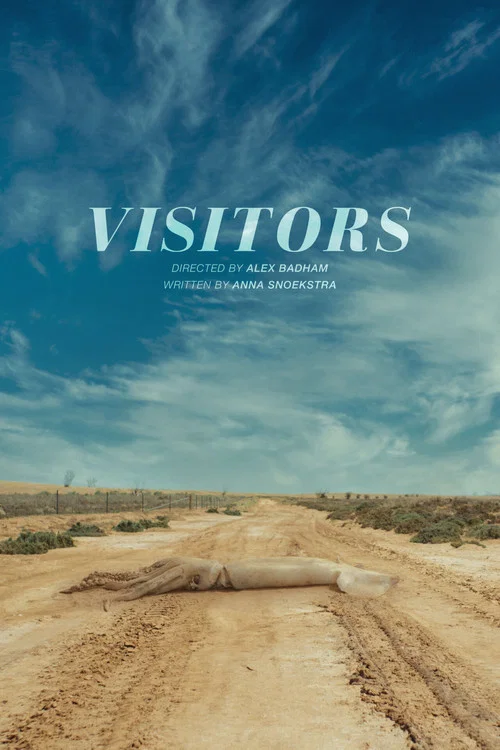 Visitors постер