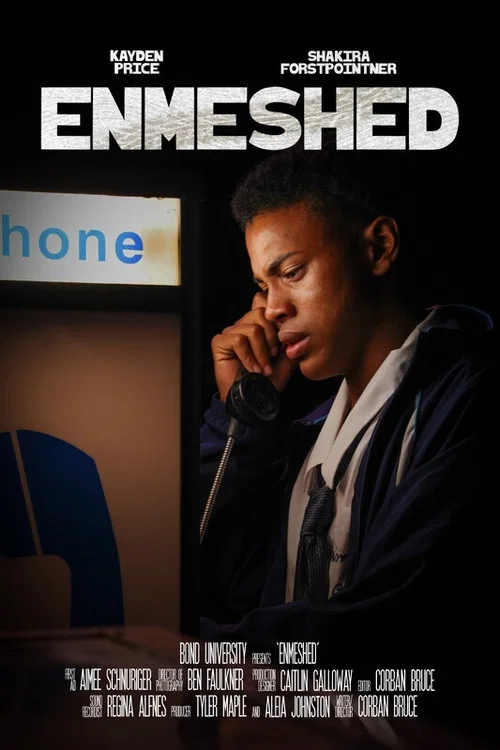 Enmeshed постер