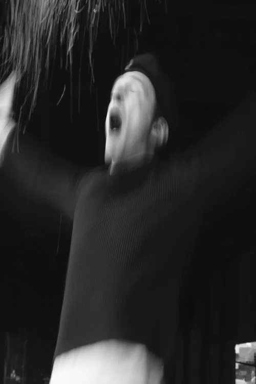 Petite Mort постер