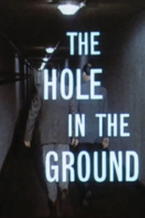 The Hole In The Ground постер