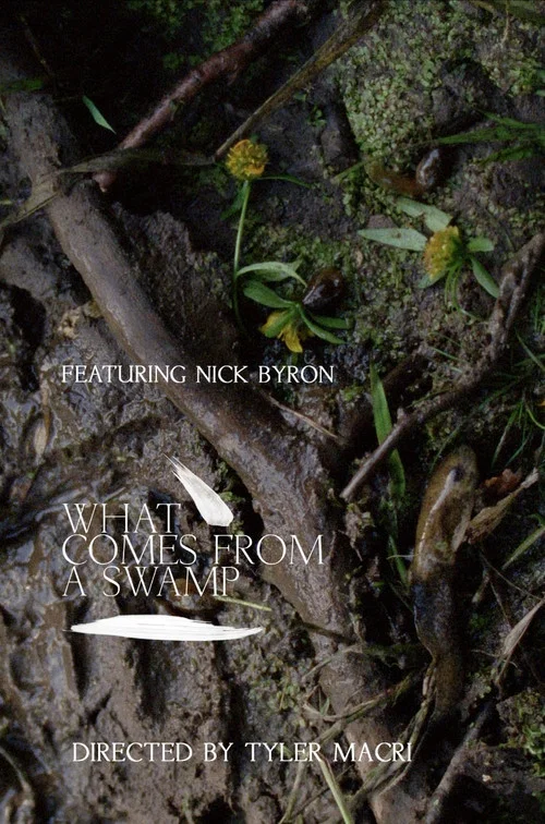 What Comes from a Swamp постер