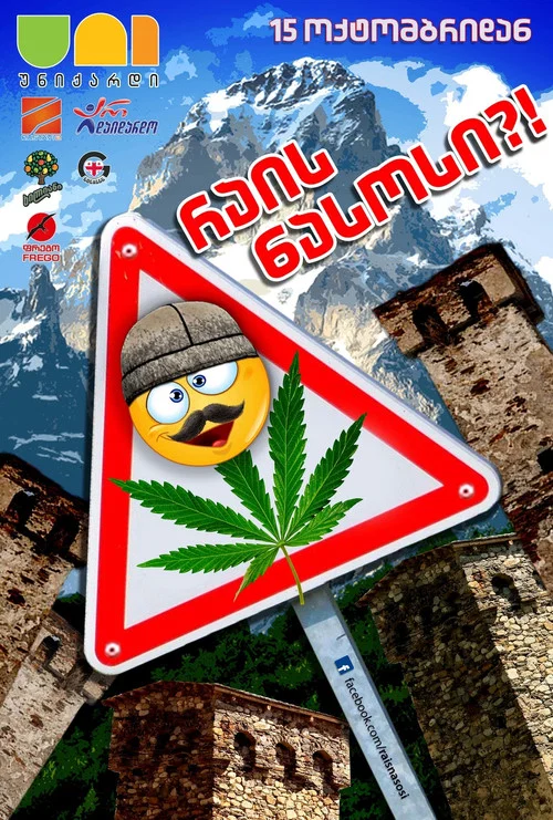 დაბოლილი ნასოსი постер