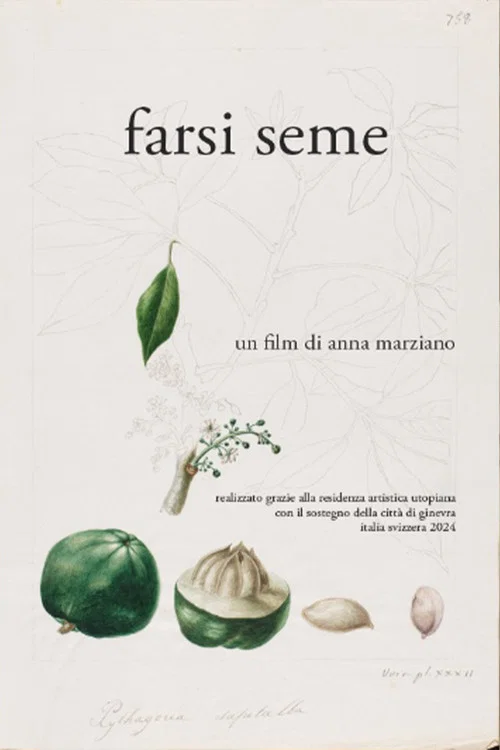 Farsi seme постер
