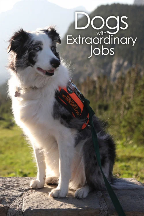 Dogs with Extraordinary Jobs постер