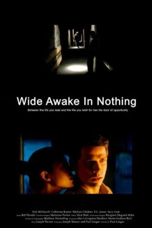 Wide Awake in Nothing постер