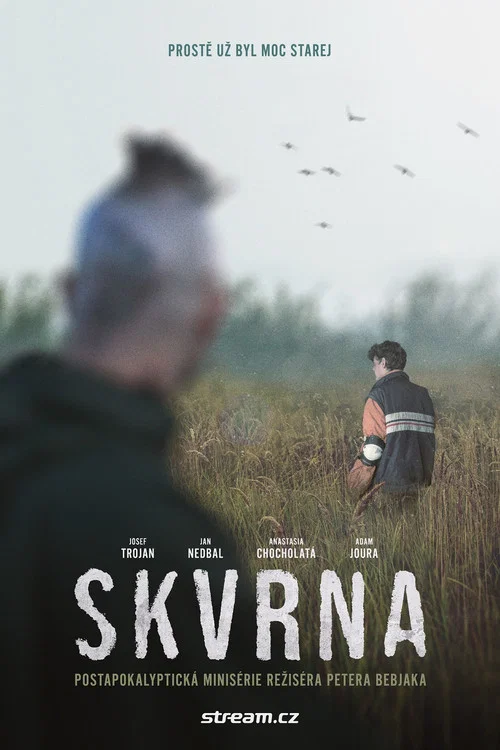 Skvrna постер