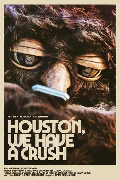 Houston, We Have a Crush постер