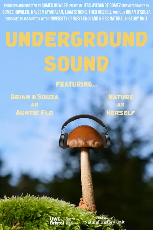 Underground Sound постер