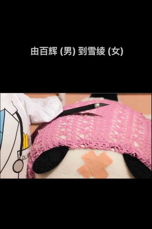 由百輝（男）到雪綾（女） постер