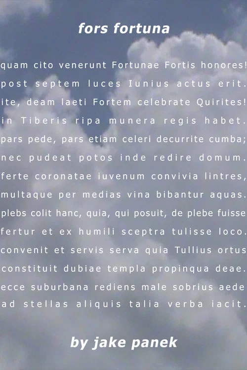 fors fortuna постер