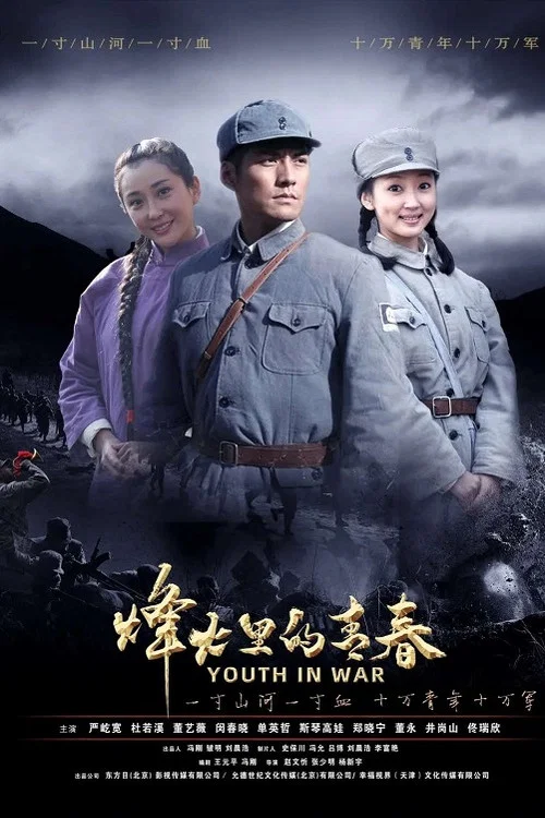 烽火硝烟里的青春 постер