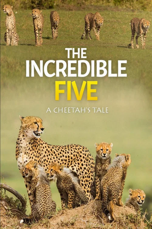The Incredible Five: A Cheetah's Tale постер