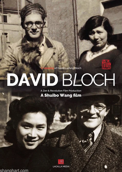 Who Is David Bloch постер
