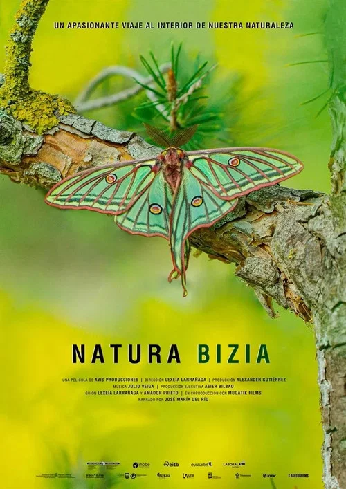 Natura Bizia постер